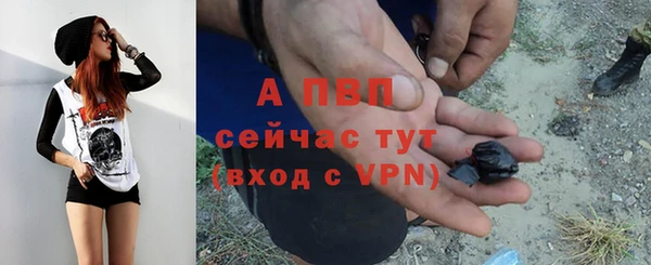спиды Бронницы