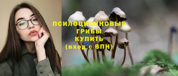 дмт Бугульма