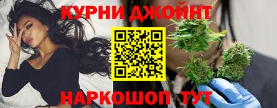 индика Можайск