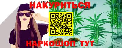индика Можайск