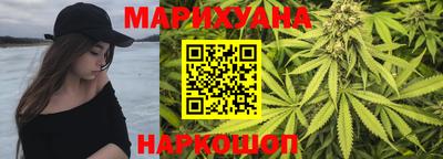 индика Можайск