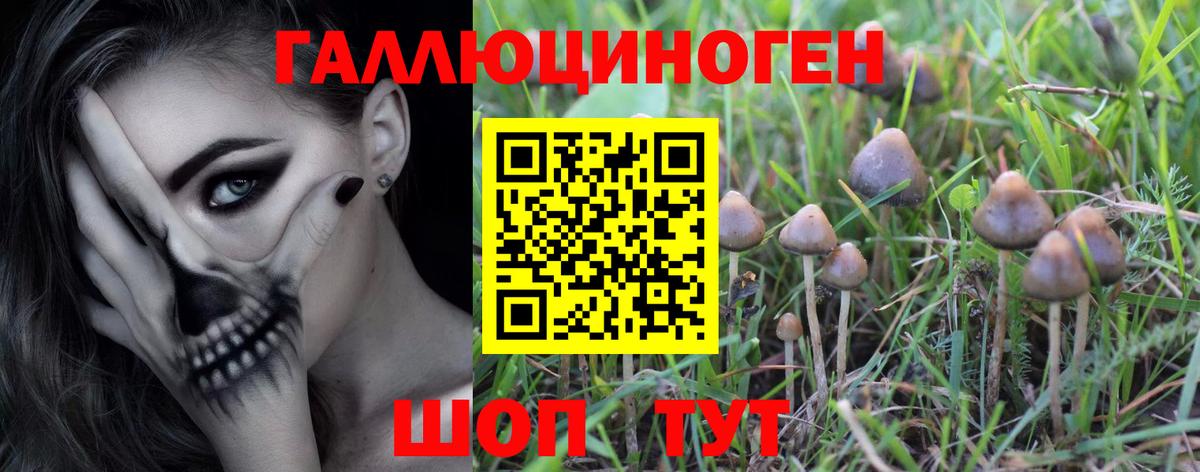 Псилоцибиновые грибы Psilocybe  Галлюциногенные грибы MAGIC MUSHROOMS  Верхняя Пышма  Вход с VPN 