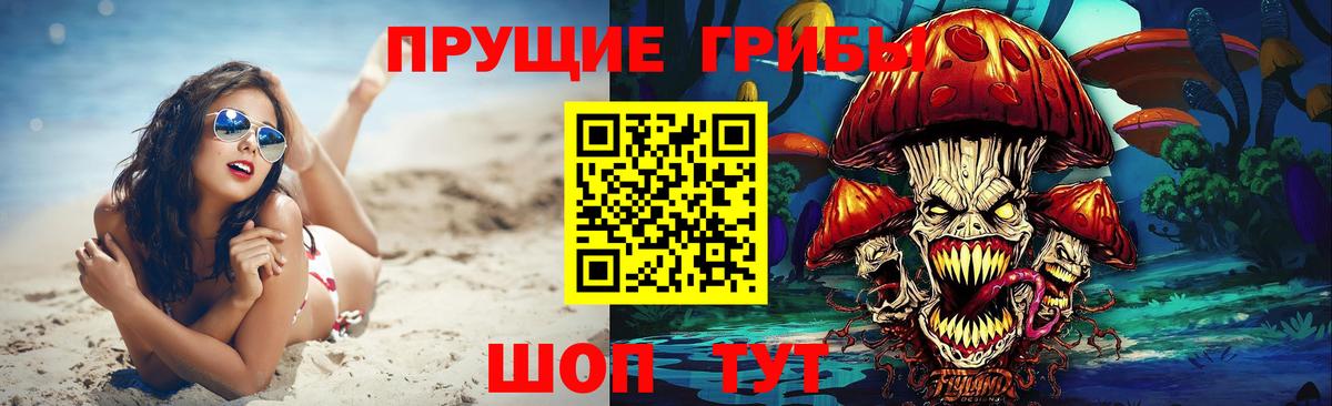Псилоцибиновые грибы GOLDEN TEACHER Верхняя Пышма